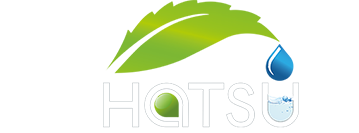 Hatsu