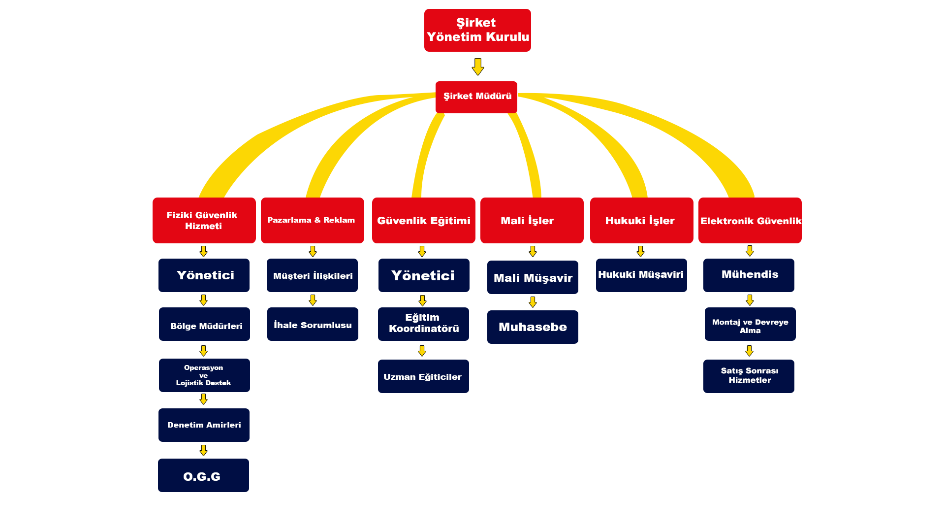 Organizasyon Şeması